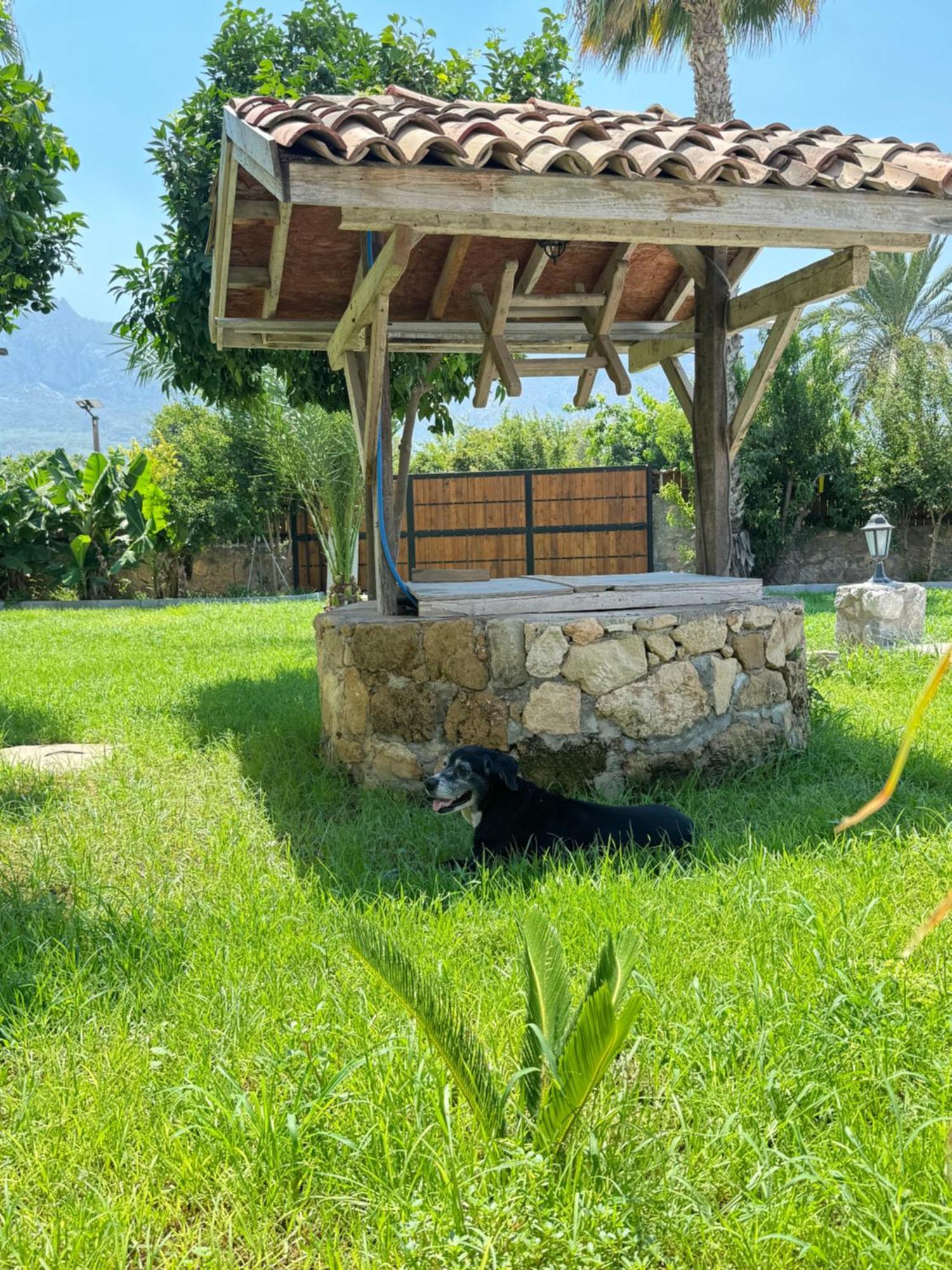 The Horse Farm Hotel Agios Georgios  Exteriör bild