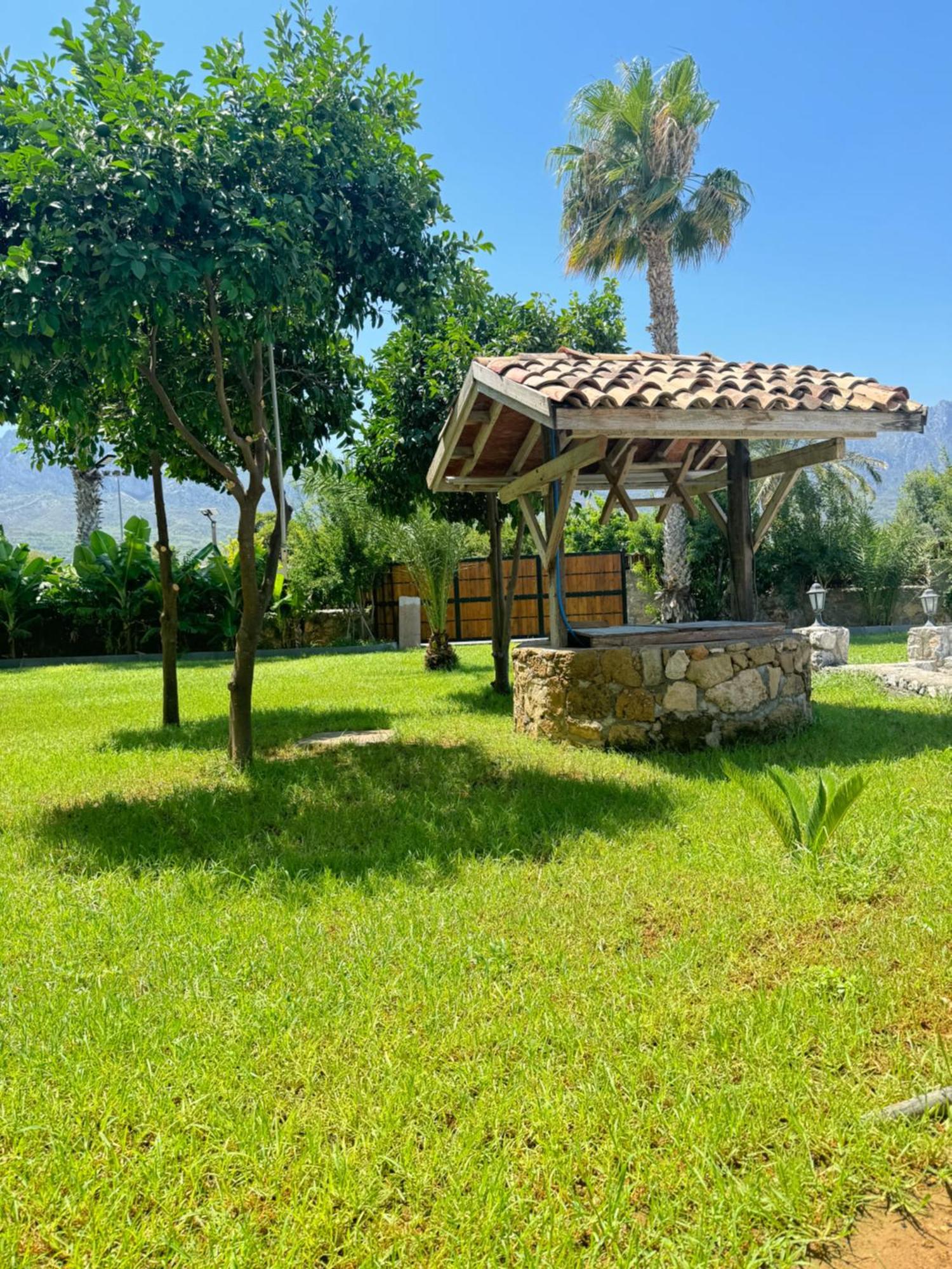 The Horse Farm Hotel Agios Georgios  Exteriör bild