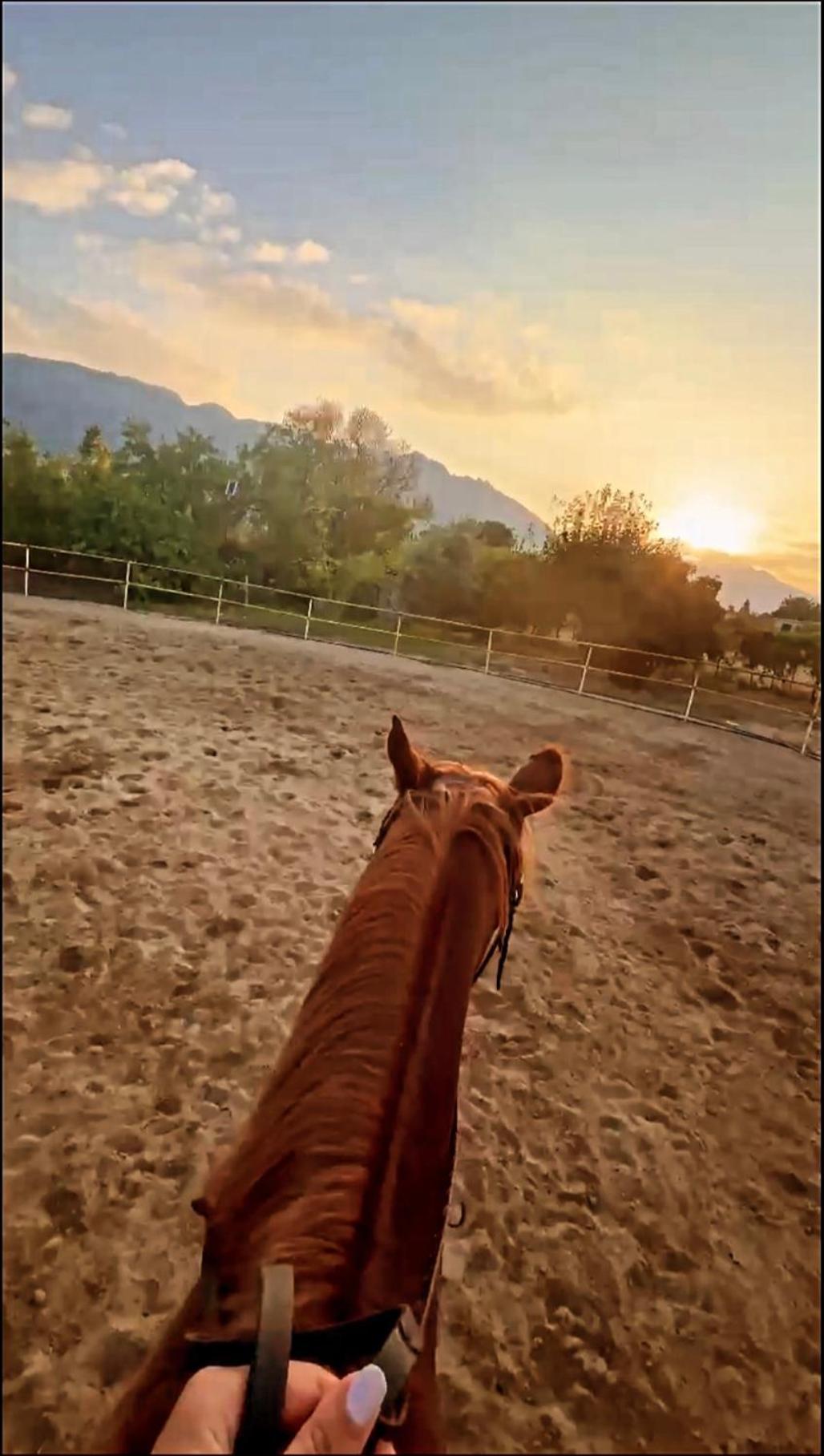 The Horse Farm Hotel Agios Georgios  Exteriör bild